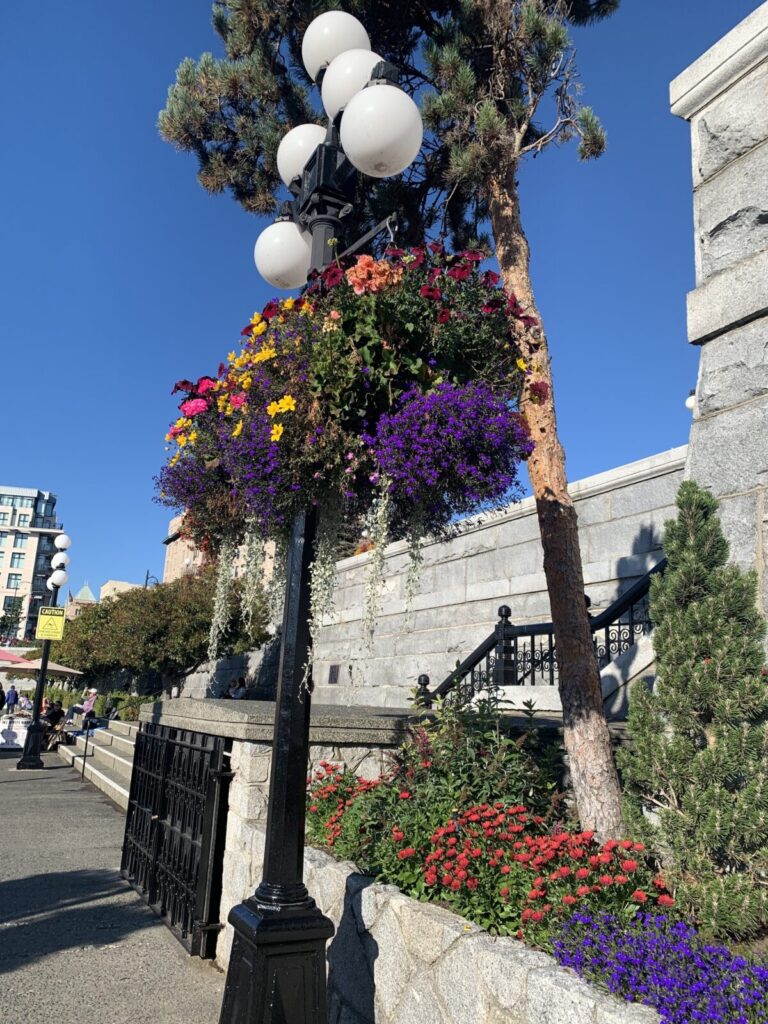ビクトリアのダウンタウンには、あちこちに花が並んでいます。さすが花の街。空とのコントラストが最高に綺麗です。