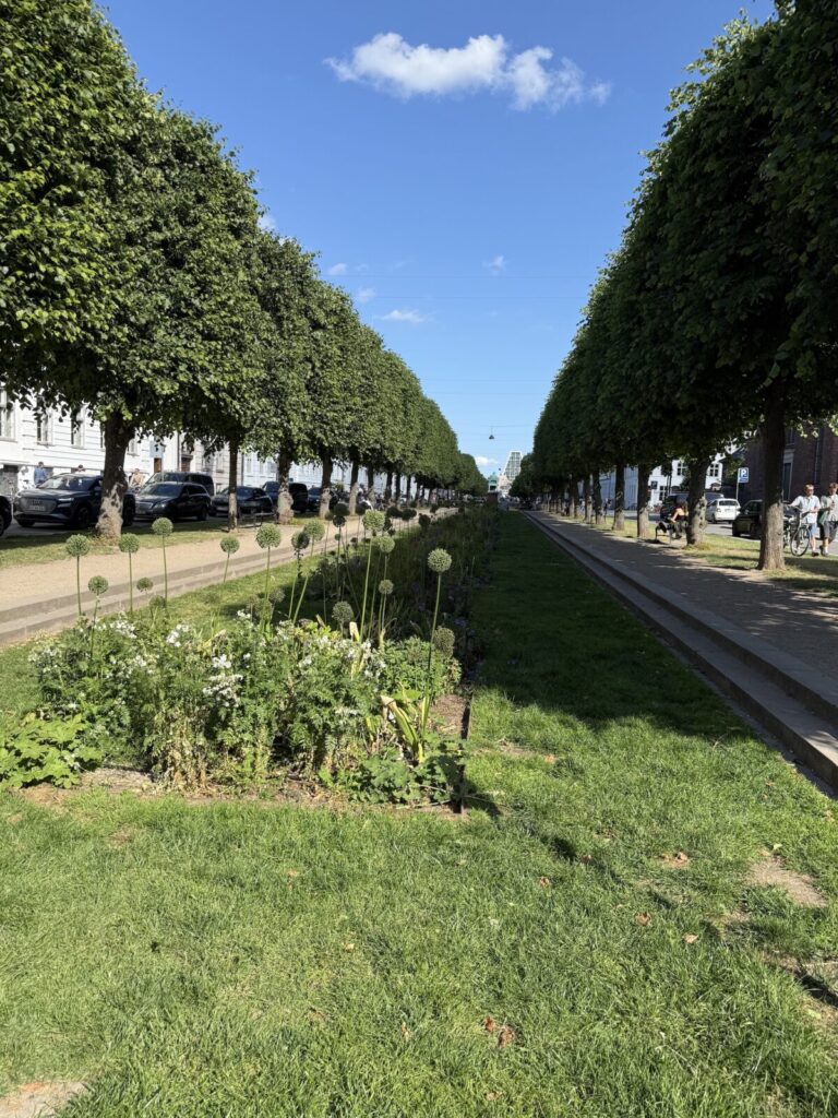 コペンハーゲンの街中には、15分以内の場所に公園がある。