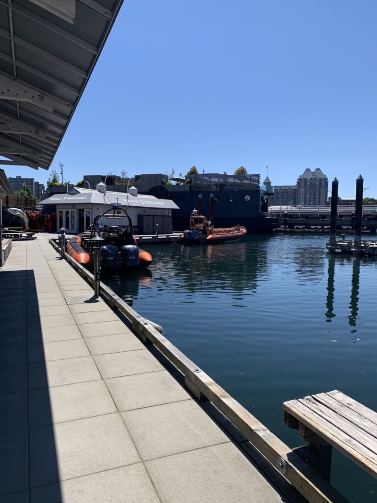 ビクトリアでは有名な多種のツアーがある、Prince of Whales。ハーバーに浮かぶツアーボート。