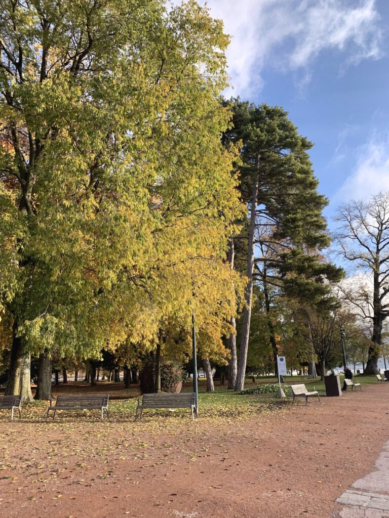 アヌシー ヨーロッパ公園の紅葉した木々とベンチ