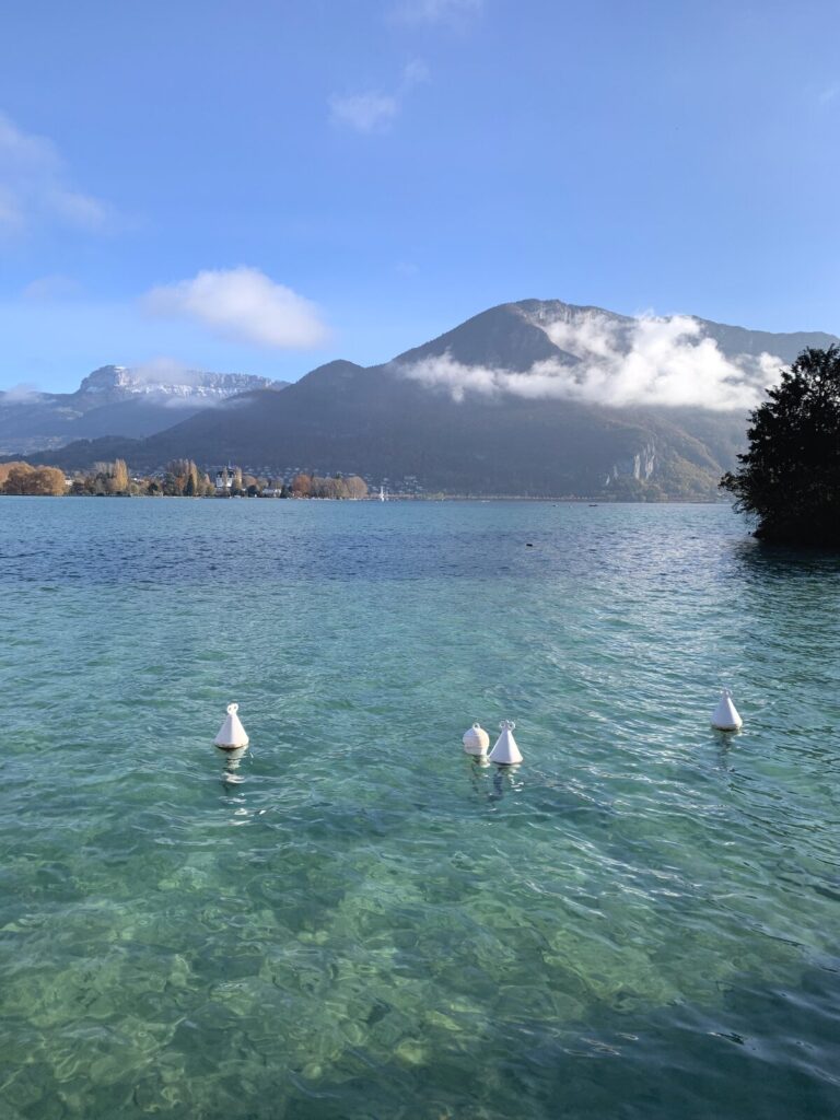 アヌシー湖で泳ぐ白鳥とアルプスの山々のパノラマ