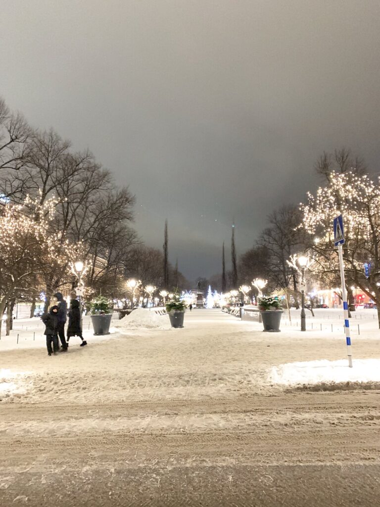 冬のエスプラナーディ公園のイルミネーション