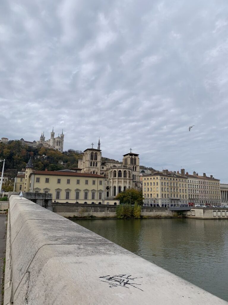 リヨン ソーヌ川からフルヴィエールの丘・ノートルダム大聖堂の眺め