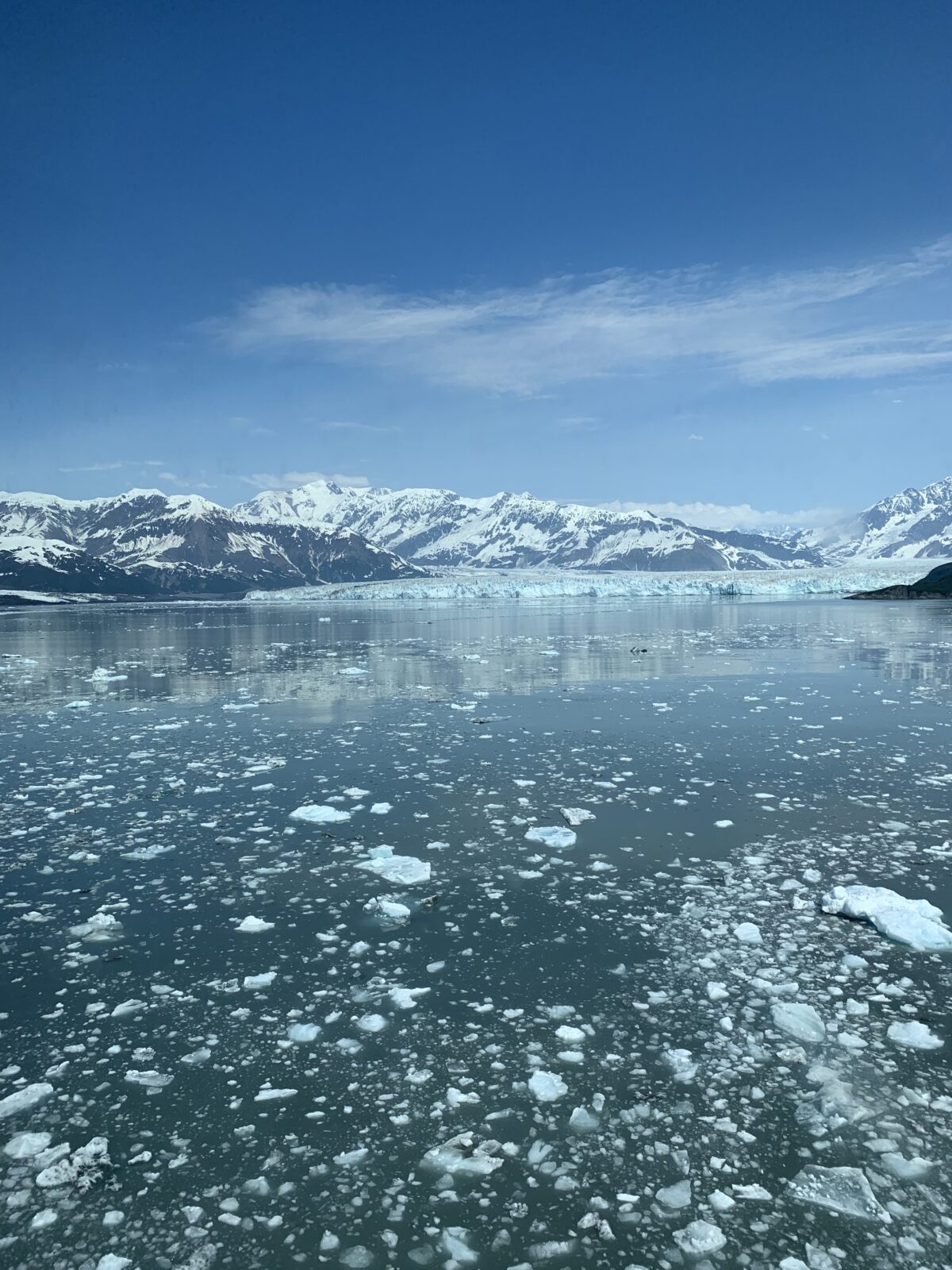 アラスカの氷河と流氷